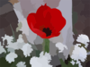 Blurred Flower Photo Clip Art