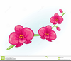 Orchids Clipart Free Image