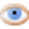 Eye Image