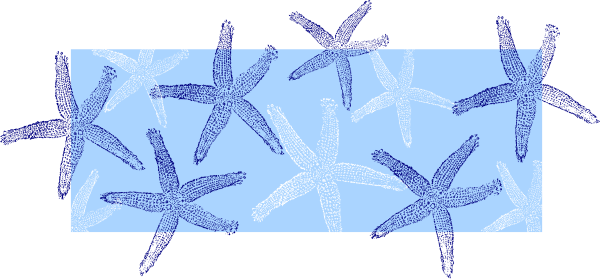 Blue White Starfish Clip Art at Clker.com - vector clip art online