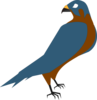 Falcon Clip Art