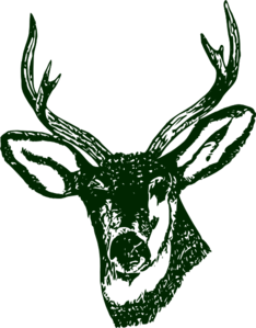 Green Stag Head Clip Art