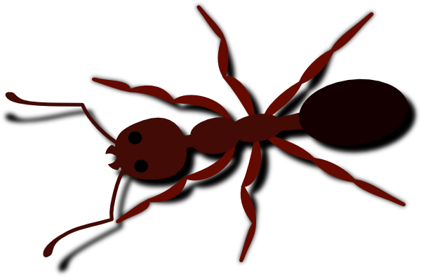 fire ant clipart - photo #20