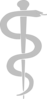 Rod Of Asclepius Upright Clip Art