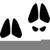 Free Clipart Animal Footprints Image