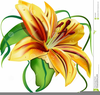 Clipart Easter Lilies Image