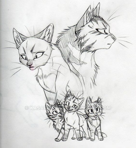 Warrior Cat Sketch Image