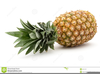 Free Clipart Pineapple Image