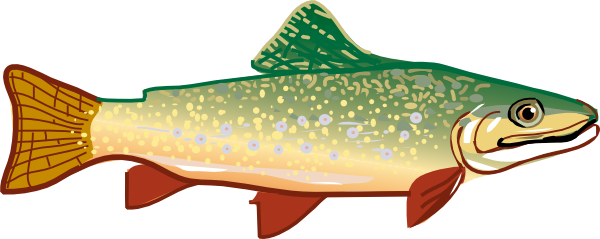 clipart rainbow trout - photo #4