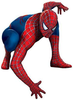 Roald Smeets Spider Man Image