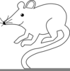 Free Mouse Trap Clipart Image