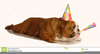 Dog Celebrating Birthday Image