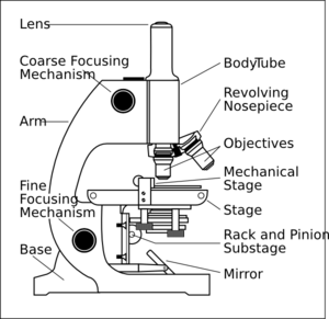 Microscope With Labels Clip Art