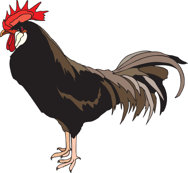 rooster clip art images - photo #16