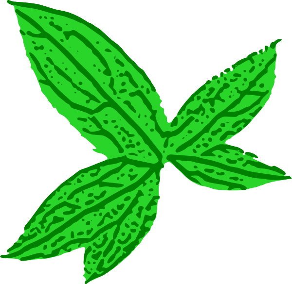 clipart green leaves - photo #18