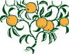 Orange Branch Clip Art