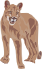 Tiger Clip Art