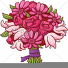 Free Clipart Vine Image