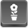 Pot Flower Icon Image