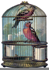 Free Vintage Bird Cage Clipart Image