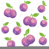 Sugar Plums Clipart Image