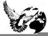 Clipart Of Pigeons Image
