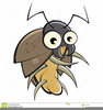 Cartoon Beetle Clipart Image