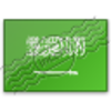 Flag Saudi Arabia Image