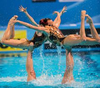 Flamingo Synchronized Swimming Image