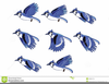 Free Clipart Blue Jays Image