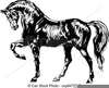 Free Black And White Horse Clipart Image