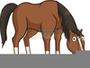 Horse Eating Clipart Image