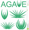 Mexican Agave Clipart Image