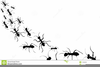 Ant Black And White Clipart Image