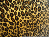 Leopard Footprint Clipart Image