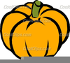 Summer Squash Clipart Image