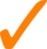 Orange Check Mark Clip Art