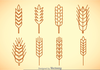 Wheat Stalk Vector Image