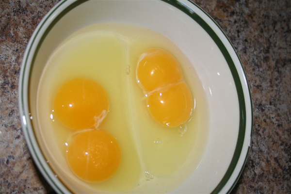 clipart of yolk - photo #41