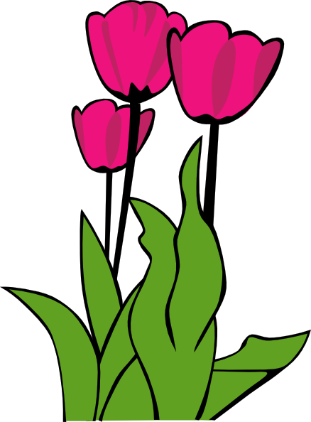 Tulips In Bloom Clip Art at Clker.com - vector clip art online, royalty