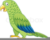 Green Parrot Clipart Image