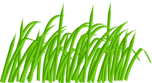 clipart of green grass - photo #2