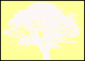 Tree Silhouette, White, Cream Background Clip Art