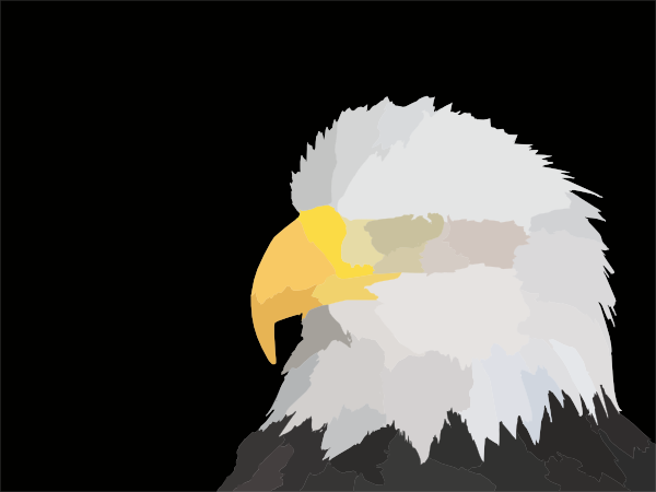 free clip art bald eagle - photo #44