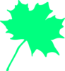 Maple Tree Bit Clip Art