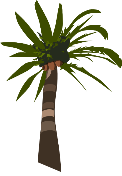 palm tree clip art vector - photo #17