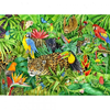 Rainforest Clipart Image