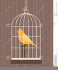 Cages Clipart Image