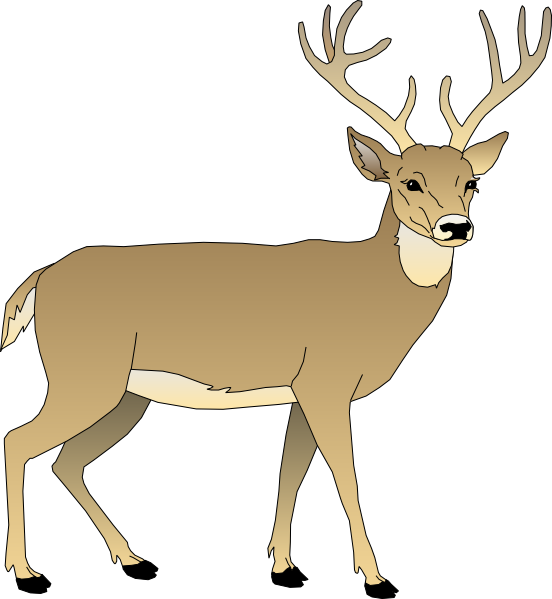 free clip art of whitetail deer - photo #4