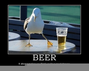 Beer Images Funny Image